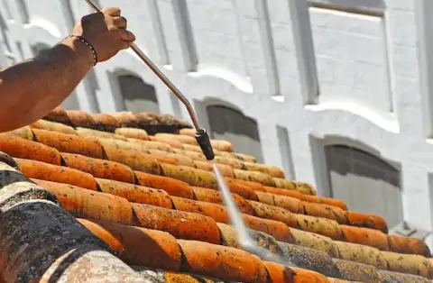 Nettoyage de toitures - Argis